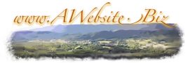 A Website Business